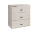 3L3610 Sentry Fire File - grey