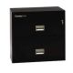 2L3010 Sentry FIre File - black