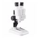 Barska AY13116 20x, 50x Student Stereo Microscope