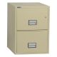 Vertical 25 inch 2-Drawer Legal Fire and Water Resistant File Cabinet