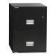 Vertical 25 inch 2-Drawer Letter Fire and Water Resistant File Cabinet